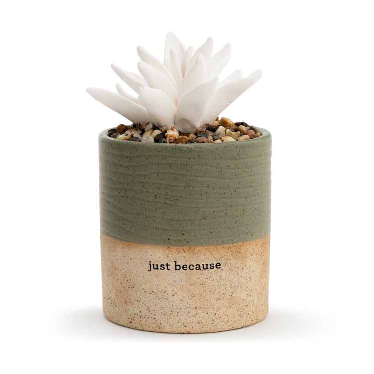 Demdaco Succulent Oil Diffuser - Just Because